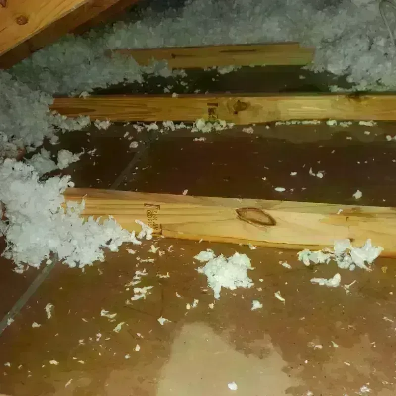 Attic Water Damage in Saint Martin Parish, LA